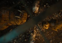 Guardiani della Galassia Vol. 3: il cielo in una gabbia